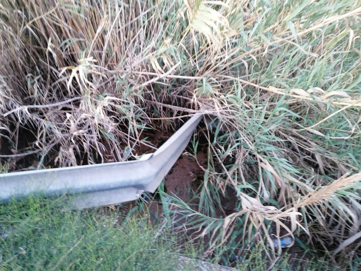 Desde el Partido Popular de Gandia se lleva denunciando desde hace varias semanas el estado de abandono en el que se encuentra la Acequia del Molí, en el Grau de Gandia.